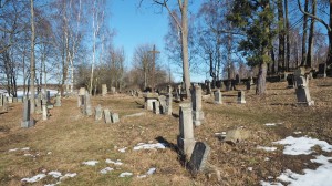 19 Hřbitov v zaniklé vsi Skoky Mariastock   